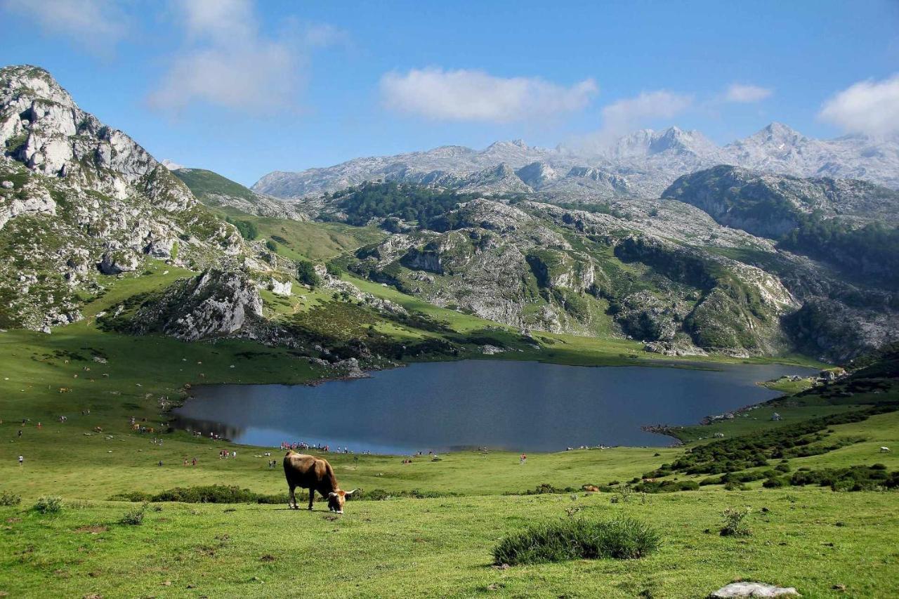 דירות Bimenes Casa Noval Zona Rural En El Centro De Asturias מראה חיצוני תמונה