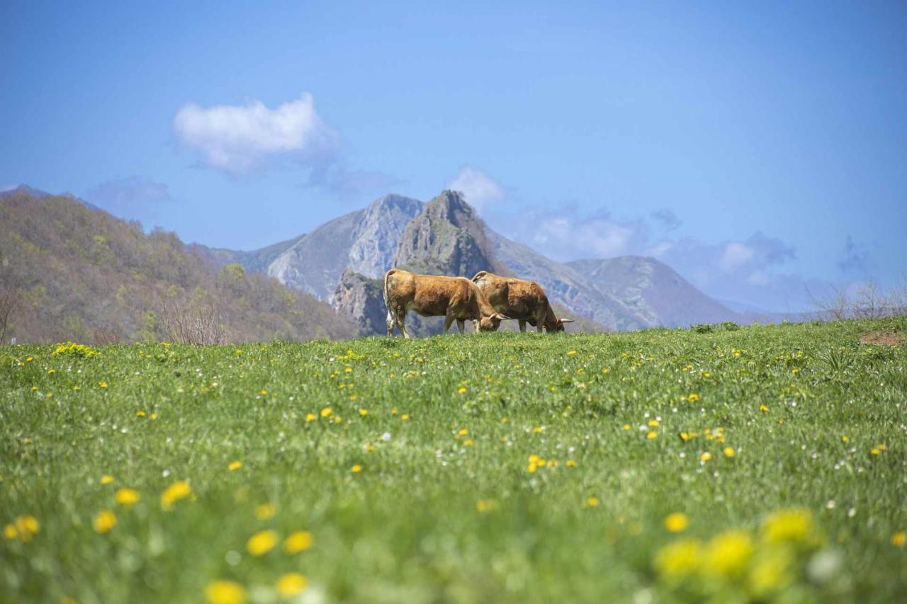 דירות Bimenes Casa Noval Zona Rural En El Centro De Asturias מראה חיצוני תמונה